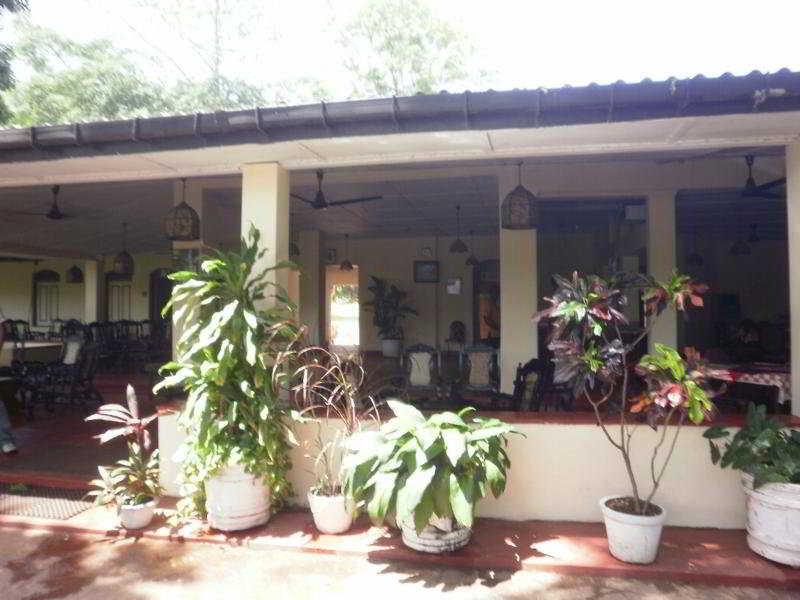 Sigiriya Rest House Extérieur photo